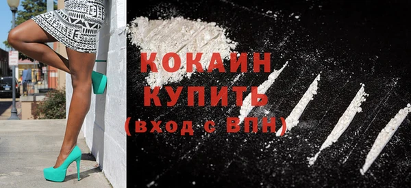 сатива Новокубанск