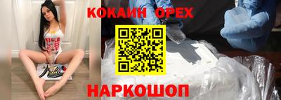 СК Бийск