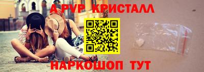 СК Бийск