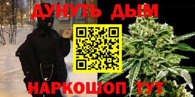 СК Бийск