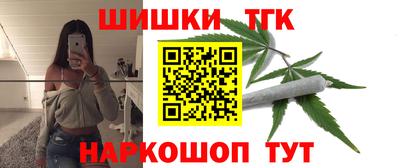 СК Бийск