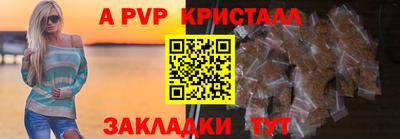 СК Бийск