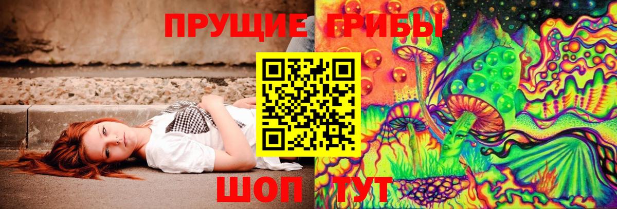 Псилоцибиновые грибы GOLDEN TEACHER  Псилоцибиновые грибы мухоморы  Вход с VPN  где продают наркотики  Брянск 