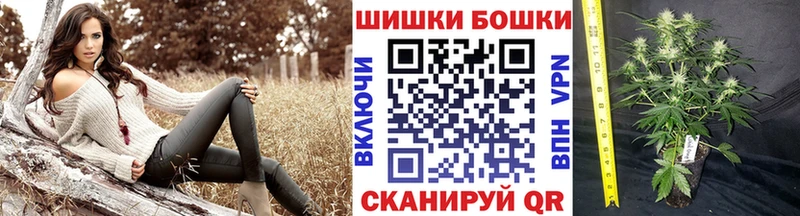 цены   Брянск  МАРИХУАНА VHQ 
